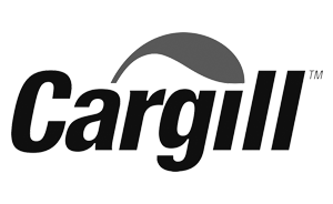 https://en.anagroup.ir/wp-content/uploads/2024/06/product-logo-2.png
