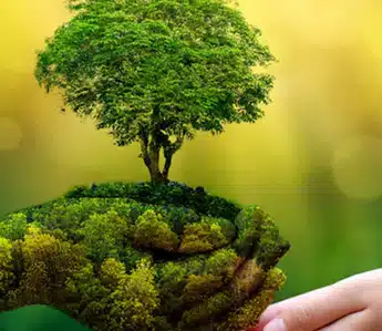 Environmental protection